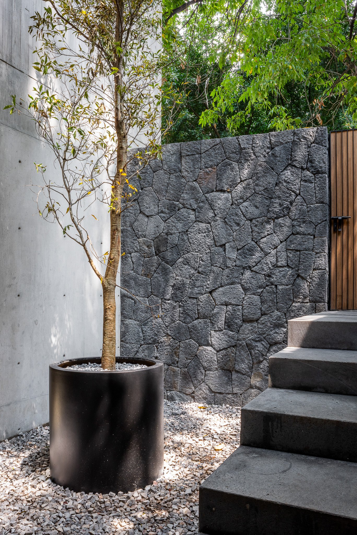 Ahuehuetes CRBArquitectos