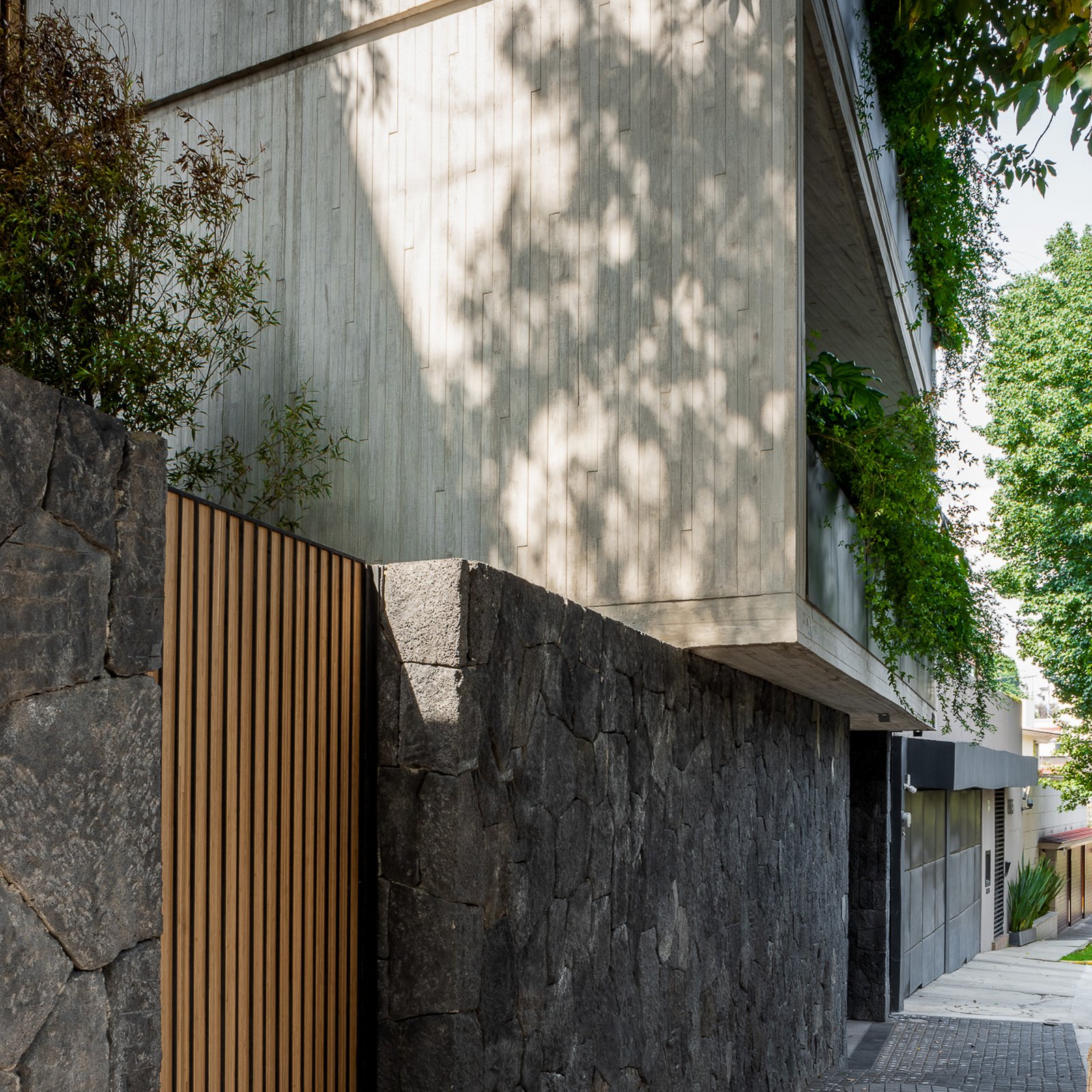 Ahuehuetes CRBArquitectos