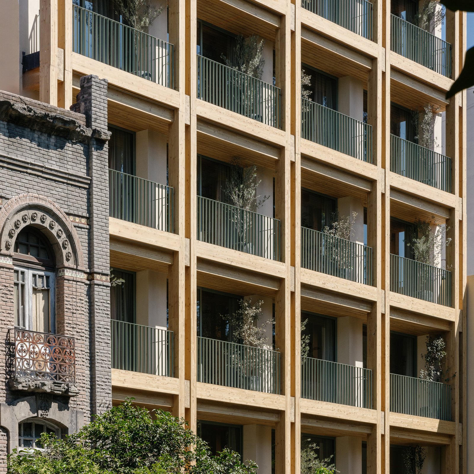 ONTO Álvaro Obregón