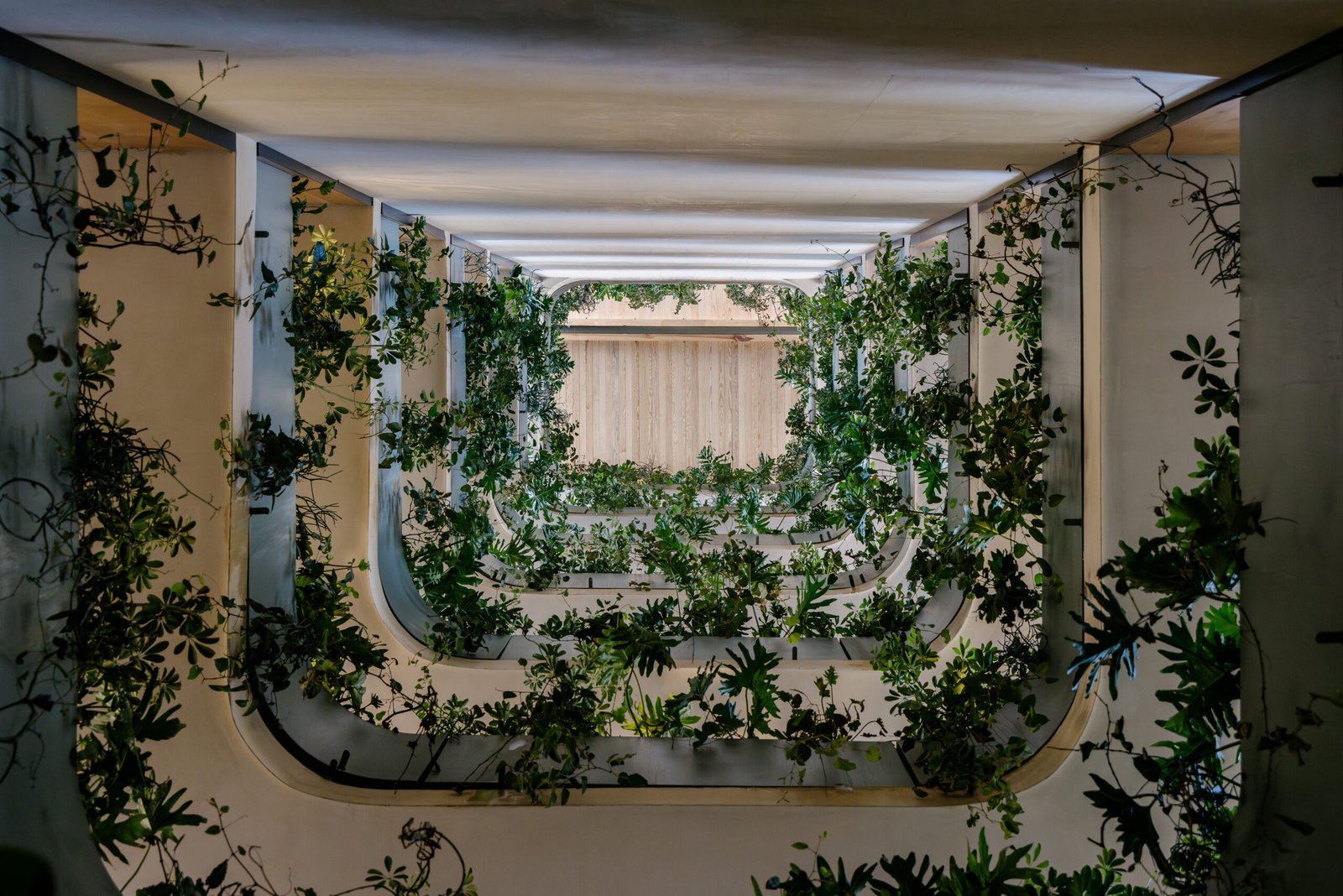 ONTO Álvaro Obregón