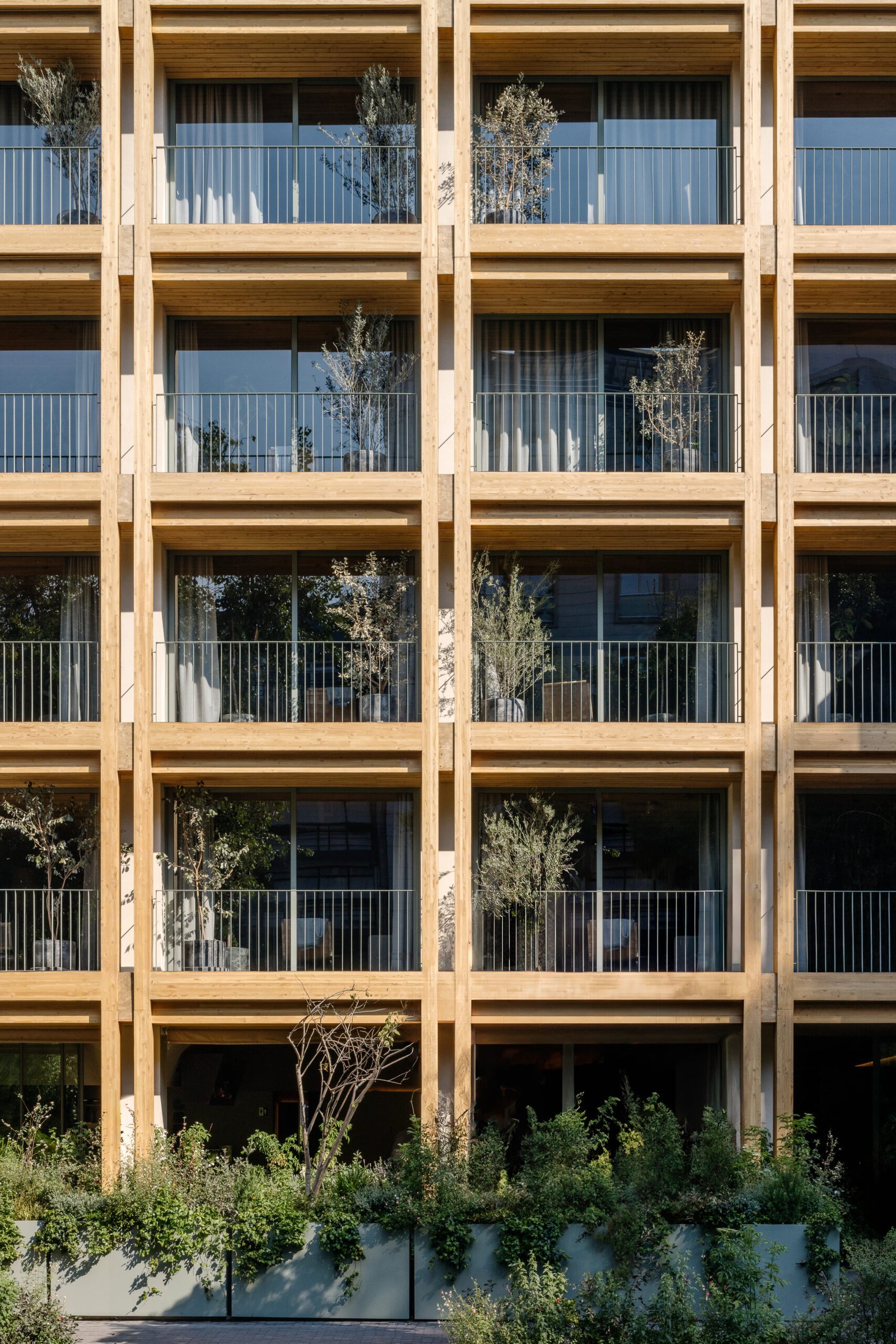 ONTO Álvaro Obregón