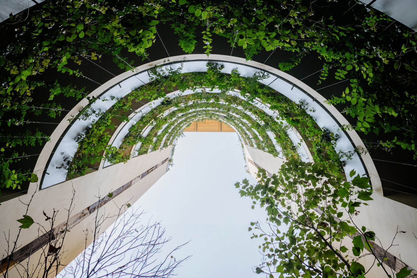 ONTO Álvaro Obregón